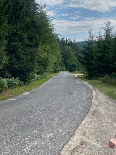 An asphalt road winds through a dense forest, with tall evergreen trees lining both sides of the path. The road appears to be in moderate condition, with some patches of wear and tear visible on its surface. The forest is lush and green, with ferns growing along the roadside. The sky above is partly cloudy, with patches of blue sky visible between the white clouds. The scene is one of natural beauty and tranquility. The image appears to have been taken in Chełmsko Śląskie, Poland, as it is known for its picturesque forest landscapes and winding roads.