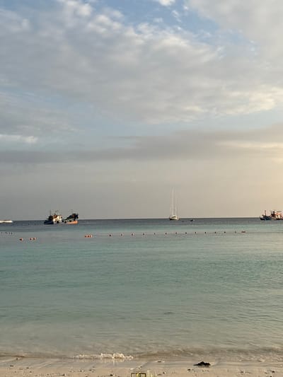 The image depicts a tranquil coastal scene on Ban Ko Li Pe, Thailand, viewed from a sandy beach towards the open sea under a partly cloudy sky. The sky, occupying the upper third of the frame, features a mix of light blue patches and scattered white and grey clouds, with a subtle warm glow on the right horizon. The middle ground is dominated by calm, clear turquoise water, transitioning to a deeper blue towards the horizon. A string of approximately sixteen evenly spaced orange buoys forms a linear barrier across the water, delineating an area closest to the shore.
Several vessels are visible on the water. To the left, a large, dark-hulled fishing or utility boat with a white superstructure is anchored. Towards the center-right, a white sailboat with two tall masts is also at anchor. On the far right, part of a traditional Thai longtail boat or similar vessel is visible. A small, white powerboat or dinghy is partially visible on the far left.
The foreground consists of light-colored sand, with gentle waves breaking at the water's edge, creating a thin line of white foam. Small pieces of natural debris, including a dark mass, are present on the wet sand near the bottom center. A small, circular metallic object, possibly a ring or part of a structure, is partially buried in the sand in the lower central portion of the image. No individuals are present or visible in the scene, and no specific actions or interactions are depicted.