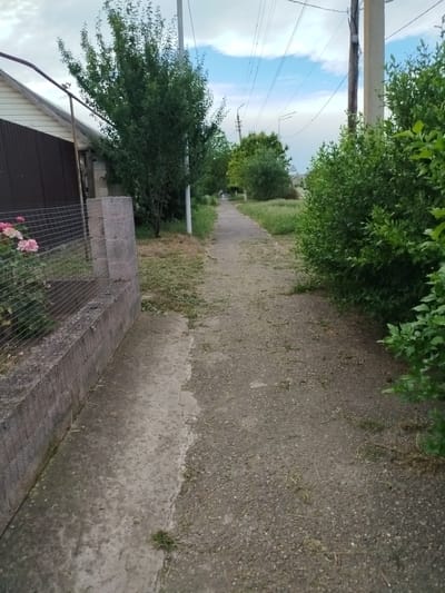 This image depicts a tranquil scene in Donskoye, Russia. A paved pathway, bordered by a low concrete wall and a wire fence on the left, stretches into the distance. The pathway is flanked by lush greenery on both sides, with a variety of trees and bushes creating a dense, verdant landscape. On the left, a house with a white siding and a dark corrugated metal fence is visible. Pink roses bloom near the fence, adding a splash of color to the scene.

The pathway itself appears to have been recently mowed, with clippings scattered along its edges and on the adjacent grassy areas. Overhead, a network of power lines and poles crisscrosses the sky, suggesting the presence of a nearby road or residential area. The sky is partly cloudy, with patches of blue peeking through the white clouds, indicating fair weather, likely in the late afternoon or early evening.

In the distance, two figures can be faintly seen walking along the pathway, adding a sense of scale and life to the otherwise still environment. The overall atmosphere is one of peaceful suburban life, with nature and human infrastructure coexisting harmoniously. There is no visible text in the image.