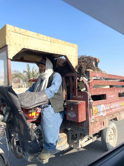 The image depicts a male individual operating a red, modified motorized rickshaw (motocart) on a paved road under a clear blue sky in Arghandab, Afghanistan. The man, with a beard, wears a black knitted beanie, a light-colored headscarf wrapped around his head and neck, a light blue shalwar kameez, and a dark vest. His hands, covered by black padded handlebar mitts, are on the vehicle's controls. His left foot rests on a metallic footrest.

The vehicle's front section features a red motorcycle base with a yellow star and Farsi/Dari script, topped by a makeshift yellow-painted wooden canopy supported by a metal frame. The rear portion is a red, open-top cargo bed constructed from metal bars, showing signs of wear and rust. "BIRANG MOTORCYCLE" is visible in English on the side of the cargo bed, along with Farsi/Dari script. A red metal box, secured with a padlock, is attached to the side of the cargo bed.

The cargo bed is filled with multiple livestock animals, identifiable as sheep or goats. Several dark-fleeced animals with shaggy wool are prominent, one with an orange marking on its head visible near the front of the cargo area. Lighter-colored animals are also present further back.

In the background, under the bright daylight, are palm trees, low-lying structures, and a distant, hazy mountainous or hilly landscape, indicative of a rural or semi-urban environment. The vehicle appears to be in motion, as observed from an adjacent moving perspective.