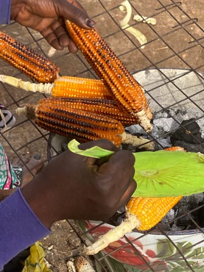 In Kafanchan B, Nigeria, a person with dark skin is grilling corn on a metal grate over a charcoal fire. They hold one grilled corn cob in their left hand and another covered with green husks in their right hand. Additional grilled corn cobs are arranged on the grate. The background includes a textured ground surface and miscellaneous debris.