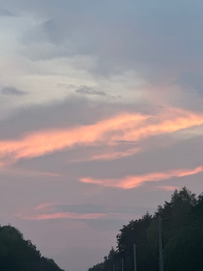 The image shows a view of the sky above the city of Pavliv, Ukraine, during what appears to be sunset or sunrise. The sky is filled with clouds, some of which are illuminated with soft pink and orange hues, while others are a muted gray and blue. The lower part of the image is dominated by a dark silhouette of trees and some utility poles, suggesting the perspective is from ground level, possibly near a road or a clearing. The overall atmosphere is calm and serene, characteristic of a twilight scene. There are no people, animals, or specific structures visible apart from the trees and poles. The lighting is dim, with the primary light source being the colored clouds.