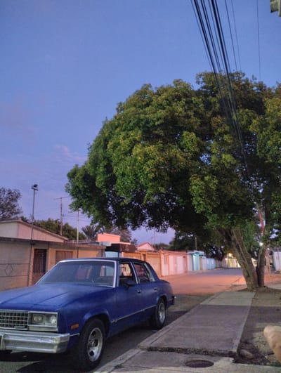 A blue sedan is parked on a street in El Dátil, Venezuela, with a large tree to its right. The sky is a soft blue, transitioning to hues of pink and purple, indicating either dawn or dusk. The car, an older model, is positioned on the right side of the road, close to a concrete sidewalk. Behind the car and stretching across the background are several houses and buildings with various colored facades, some appearing to be single-story residences. A prominent, leafy green tree dominates the right side of the image, its branches extending upwards and to the left. Overhead, a tangle of dark electrical wires crisscrosses the sky. The lighting suggests natural ambient light, possibly from streetlights that are not clearly visible, as some areas of the street and sidewalk are illuminated. No people are visible in the scene.