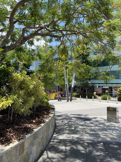 An outdoor urban or commercial environment, likely a pedestrian plaza or walkway, is captured under bright daylight. A large, verdant tree with green foliage and visible branches occupies the left side of the frame, partially obscuring a modern building with reflective glass facades in the background.

To the right, a wide, paved pathway extends into the distance, marked by prominent, dappled shadows from overhead trees, indicating clear, sunny weather. A row of silver bollards lines the edge of the paved area, separating it from several shopfronts. Visible text on shop signs includes "A L I G N," partially "AESTHETICS," and "M G A," as well as "LUXURY" higher up. A stainless steel utility box or water fountain stands adjacent to the paved path on the right.

In the foreground and midground on the right, a curved stone garden bed is filled with various green and variegated plants, and topped with dark mulch or dry leaves. At least two individuals are faintly visible in the midground, suggesting the presence of people in this public space. The scene portrays a tranquil daytime setting typical of a commercial area, consistent with a shopping town centre in Indooroopilly, Australia.