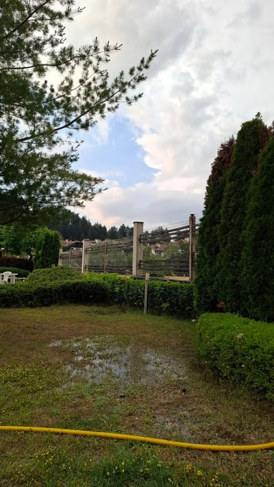 The image depicts a wet grassy area in Razlog, Bulgaria, with a yellow hose running along the right side. The ground appears uneven and possibly waterlogged in some sections, with sparse patches of green grass and some dried-out areas. In the background, there is a lush green hedge and a line of trees. Further back, a metal fence structure with concrete pillars is visible, suggesting it might be part of an outdoor facility or a boundary. Above the fence, a hillside with scattered houses and dense trees can be seen under a cloudy sky with patches of blue. In the foreground to the left, the branches of a pine tree with its needles are prominent against the sky. The lighting suggests it is either early morning or late afternoon, with soft, diffused light due to the clouds. No people are visible in the image, and there is no visible text.