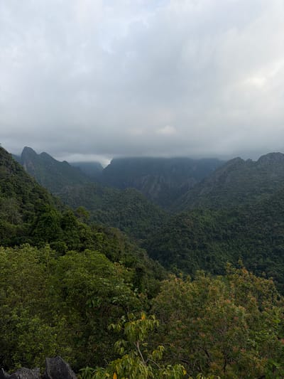 This is a photograph of a misty, mountainous landscape, likely taken from a high vantage point overlooking a valley. The foreground features lush green trees and foliage, with some rocky outcrops visible. The midground and background are dominated by a series of densely forested, jagged mountains that recede into a hazy distance. The sky is overcast with soft, diffused light, suggesting either early morning, late evening, or a cloudy day. The scene evokes a sense of natural grandeur and remoteness. This vista is characteristic of the karst landscape surrounding Vang Vieng, Laos, known for its dramatic limestone formations and verdant valleys. No people or specific actions are depicted in the image; it is a static environmental shot.