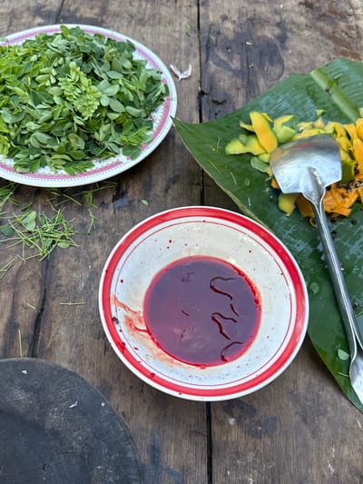 The image displays an overhead view of a food preparation area on a weathered wooden surface, located in Carmen, Philippines. In the upper left, a white plate with a pink and red decorative rim contains a dense pile of uniformly small, ovate green leaves, consistent with Moringa oleifera. To the upper right, a fresh green banana leaf serves as a base for cut fruit, identified as papaya, presenting both yellow-orange ripe segments and lighter green, less ripe pieces, alongside dark seeds. A large, reflective metal spatula rests upon the banana leaf, partially covering the fruit. A white bowl with a prominent red rim is positioned in the lower right, containing a dark red, viscous liquid; distinct streaks and droplets of this substance are visible on the bowl's inner and outer surfaces, indicative of blood. A small, dark insect rests on the exterior rim of this bowl. Scattered small green stems and isolated leaves are visible on the wooden surface between the plate and the bowl, suggesting residual debris from leaf preparation. The lower left quadrant reveals a segment of a dark, circular wooden chopping board, exhibiting numerous cut marks and wear. The overall wooden surface features visible grain, cracks, and areas of discoloration.