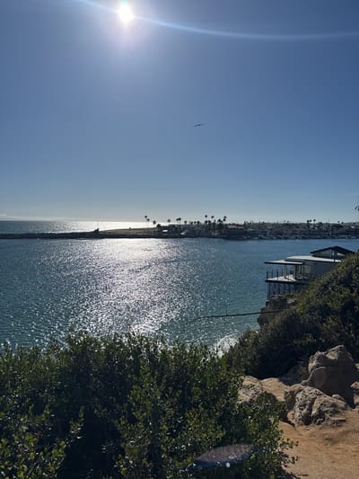 This image captures a view of the water and coastline in Newport Beach, United States, under a clear blue sky with the sun shining brightly. The water sparkles with reflected sunlight. A bird flies in the sky. In the distance, a strip of land is visible with palm trees and buildings. In the foreground, lush green bushes and rocks are present. A modern-style house with balconies overlooks the water.