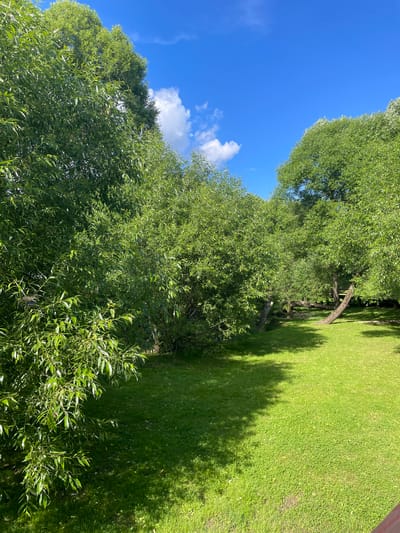 This is an outdoor, eye-level, medium shot photograph taken on a sunny day in Vnukovo, Russia. The scene depicts a lush, green grassy lawn with several large trees and a bright blue sky with scattered white clouds. The trees have dense green foliage and their branches cast shadows on the grass. A narrow, winding path or possibly a small stream is visible between the trees in the background. The environment appears serene and natural, suggesting a park or a garden area. There are no people or animals visible in the frame. The lighting indicates it is daytime, with the sun positioned high in the sky.