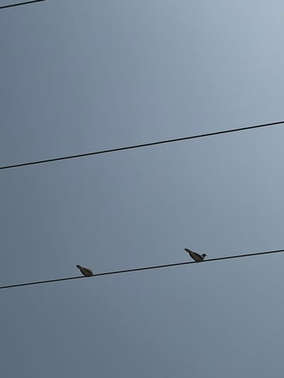 The scene, located in Jakande, Nigeria, features two birds perched on a utility cable against a clear, light blue sky. Three parallel, dark utility cables extend horizontally across the frame. The two birds, exhibiting dark grey silhouettes, are positioned on the lowest cable, both facing right. The bird on the left is situated centrally, and the bird on the right is further towards the right side of the frame. No other individuals or objects are present; the environment consists solely of the sky and cables.