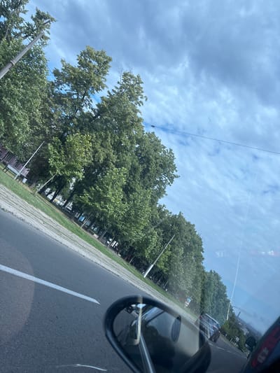 The image, captured from a moving vehicle in Kamianske, Ukraine, displays a street scene dominated by a line of mature trees with full green foliage, bordering a paved sidewalk and a road with a white line marking. The sky above is a mix of blue with streaks of white clouds. A rearview mirror of the vehicle is visible in the foreground, reflecting a portion of the car's interior. Several cars are visible on the road in the distance, including a light-colored SUV. A building with pinkish walls and windows can be seen behind the trees on the left side of the frame. The overall impression is a daytime urban environment with a focus on a tree-lined street.