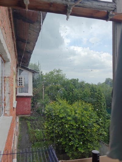 The image depicts a view from a window, likely in Hadiach, Ukraine, on a cloudy day with rain. The foreground shows a section of a brick building with exposed mortar and a white-framed window. A small, enclosed balcony with a red lower half and a white-framed window with multiple panes extends from the building. Raindrops are visible on the windowpane, distorting the view of the outside.
Beyond the balcony, a lush green landscape unfolds, characterized by dense trees and foliage. The trees appear to be a mix of deciduous and coniferous types, with a garden or cultivated area visible in the lower left quadrant. A dark, metal railing or fence is present in the bottom left of the frame. The sky is overcast with scattered white clouds. The overall impression is one of a somewhat weathered but functional residential structure set against a verdant, natural backdrop.