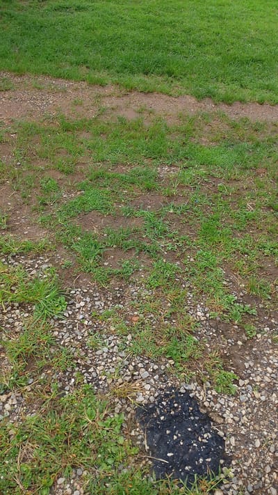 This media file depicts an outdoor scene with a focus on the ground. The upper portion of the image is dominated by a dense, green lawn. Below the lawn, the ground transitions to a mix of reddish-brown soil and small gravel. Sparse green grass and weeds are scattered across this area, with some patches appearing drier than others.
Towards the bottom of the image, the gravelly area is interspersed with more clumps of grass. A notable detail is a dark, irregular patch of what appears to be asphalt or tar embedded in the ground amidst the gravel and weeds. This patch is rough in texture and contains small stones.
The lighting suggests it is daytime, with no strong shadows indicating a specific time. The overall impression is of an unkempt outdoor area, possibly a yard or a neglected path. There are no people or animals visible, nor any text. The setting, with the combination of lawn, gravel, and soil, suggests an outdoor location that is not meticulously maintained. The weather appears to be overcast or the image was taken in diffused light, as there are no harsh shadows. The location context provided is Balewa, Nigeria, which helps to frame the likely environment.
