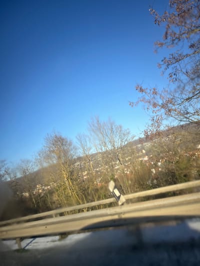 The image displays an elevated panoramic view overlooking the city of Dorlisheim, France, under a clear, bright blue sky. The upper two-fifths of the frame consist solely of the unclouded sky. The middle ground features extensive natural landscape, including rolling hills densely covered with a mix of deciduous trees, largely bare of leaves, indicating late autumn or winter. Scattered among the trees and along the slopes are numerous residential and commercial buildings with reddish-brown roofs, characteristic of the city structures of Dorlisheim. The foreground, approximately the lower third of the image, shows a two-bar metal guardrail positioned diagonally across the frame, suggesting a road or elevated pathway. A single white and black rectangular reflective marker is visible attached to a post of the guardrail near the center-right. The bottom edge of the image exhibits blurring, consistent with a photograph taken from a moving vehicle. Sunlight illuminates the scene, indicating daytime conditions. No individuals or specific actions are discernible within the frame.