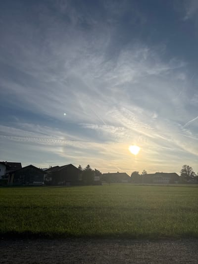 The image displays a serene rural or semi-rural landscape under a bright sky. The scene is bisected by a horizon line featuring buildings and trees.
The upper half of the image is dominated by a vast blue sky, characterized by numerous thin, wispy white clouds, many of which are long, linear contrails crisscrossing the firmament. The sun is prominently visible in the upper right, partially veiled by light clouds, radiating a strong, golden glow across the sky. A faint, iridescent spot, possibly a lens flare or atmospheric phenomenon, can be seen in the upper-left sky.
The lower half of the image presents a vibrant green grassy field on the left, stretching towards the middle distance. To its right, a dark asphalt or gravel path/road runs along the foreground. Along the horizon, bordering the field, several buildings are visible. These structures, including houses with dark roofs and some with lighter facades, and what appears to be a wooden, barn-like building, are partially silhouetted against the bright sky. Scattered green trees are interspersed among the buildings.
The bright, warm light suggests either early morning or late afternoon. The sky is clear with high-altitude clouds. No specific activity or people are depicted, and no text is visible. The scene evokes a sense of tranquility and natural beauty, consistent with a rural setting in Schwangau, Germany.