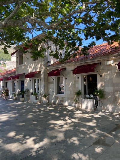 The image depicts the exterior of a building in Dubrovnik, Croatia, possibly a restaurant or cafe, with a stone facade and a red tiled roof. A large tree with a textured trunk and green leaves overhangs the scene, casting dappled shadows on the pavement in front of the building. Several windows with red awnings are visible along the facade, and potted plants are placed outside. In the background, part of the city walls and other buildings are discernible. Two individuals are present on the left side of the image, one standing and the other walking. The overall impression is of a sunny day in a picturesque European city.