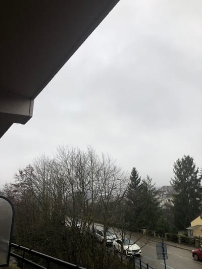 The image captures an outdoor urban or suburban landscape on an overcast day, viewed from an elevated perspective, likely a balcony or window. The sky, which occupies the upper left portion of the frame, is a uniform light grey, indicating heavy cloud cover.

In the bottom left corner, a dark, angular architectural feature, possibly a balcony wall or the edge of a building, protrudes into the scene. It is a solid dark grey or brown, with its upper edge forming a sharp diagonal line that separates it from the muted sky.

The right side of the image is densely populated with natural and urban elements. A prominent deciduous tree with a intricate network of bare, dark branches stands in the mid-ground on the right, extending vertically from the bottom to the top of the frame. Its delicate branch structure is silhouetted against the lighter sky and background.

Behind and above this bare tree, several evergreen trees with dark green foliage are visible. Further in the background on the upper right, parts of residential buildings with light-colored facades can be seen through and above the tree canopy. A street or road runs horizontally in front of these buildings, with several cars parked along it. At least two white cars are clearly visible, along with a partially obscured red car at the very top right edge of the image. Faint blue markings are visible on the asphalt of the street.

In the bottom right corner, a dark metal railing or fence is present, further suggesting the elevated viewpoint.

The scene conveys a quiet, possibly cool, daytime atmosphere due to the overcast sky and the bare tree branches. There are no people visible, and no specific activity or event appears to be taking place. No discernible text is present in the image.