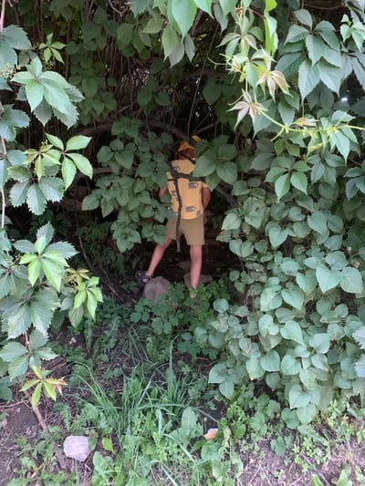 A person wearing a yellow vest with an image of a bear on it and brown shorts is standing with their back to the camera, partially obscured by dense green foliage. The person is wearing dark sandals. They appear to be standing on a rocky, earthy surface. The surrounding environment is overgrown with various plants, including vines with large leaves. The scene is set in what appears to be a natural, wooded area. The image is taken outdoors.