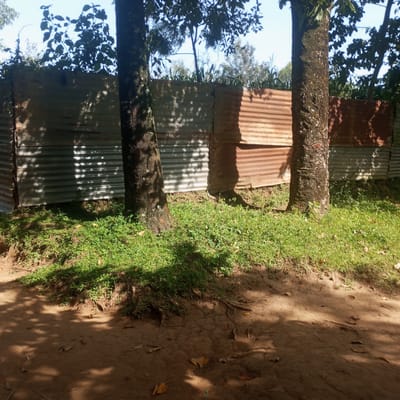 The image depicts an outdoor scene featuring a corrugated metal fence that appears to be a boundary. Two trees stand in front of the fence, with their trunks partially obscuring the view of the metal. The fence is constructed from sections of corrugated metal, some of which are rusted and discolored. Behind the fence, vegetation and trees are visible, suggesting a natural environment. The ground in the foreground is a mixture of dirt and sparse grass, with shadows from the trees cast across it. The sky above is clear and blue, indicating daytime. The scene is located in Mahiakalo ward, Kenya.