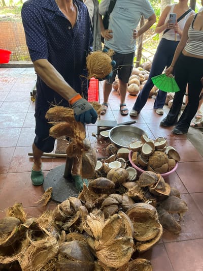In Tân Thạch, Vietnam, an indoor scene depicts a man demonstrating coconut preparation for a group of onlookers. The man, wearing a dark, polka-dot shirt, dark shorts, and green sandals, is using a tool to husk a coconut. He is wearing a gray glove with an orange trim on his right hand. He is surrounded by piles of husked and halved coconuts. The onlookers include individuals with various attire, such as a striped top, a white shirt, and dark bottoms. One person holds a green fan. Some of the coconut halves are in a pink plastic basket, and a metallic container holds coconut water. The floor is tiled.