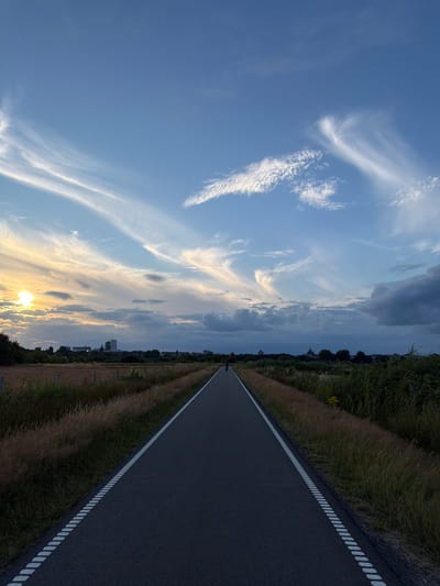 A lone cyclist is visible in the distance on a paved bike path, traveling away from the viewer. The path, marked with a dashed white line on its left edge and a solid white line on its right edge, extends into the horizon. The surrounding landscape consists of dry, tall grass on either side of the path, with a line of trees and buildings in the distance. The sky is partly cloudy with wispy clouds illuminated by the setting sun on the left. The overall scene appears to be in a rural or suburban area on the outskirts of 's-Hertogenbosch, Netherlands, likely during the late afternoon or early evening.