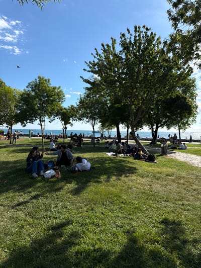 The scene shows a sunny day in Kadıköy, Turkey, with people relaxing on a grassy area near the sea. The area is partially shaded by several trees. People are sitting or lying on the grass, some in groups, some alone. The sea is visible in the background, with more people walking along the waterfront. The sky is blue with scattered clouds. There is a bird flying in the sky.
