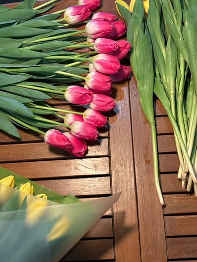 An overhead view captures various tulips arranged on a dark brown slatted wooden surface. Approximately fifteen individual cut tulips with variegated pink and white fringed petals and green stems are laid horizontally, forming a line across the center-left. To their right, a vertical bundle of at least ten yellow tulips with prominent green stems and leaves is positioned. In the lower-left quadrant, a partial bouquet of yellow tulips is visible, wrapped in translucent light green floral paper. The scene is illuminated by natural light, casting subtle shadows on the wooden surface. The location of this scene is Slavyansk-na-Kubani, Russia. No individuals are present in the image.