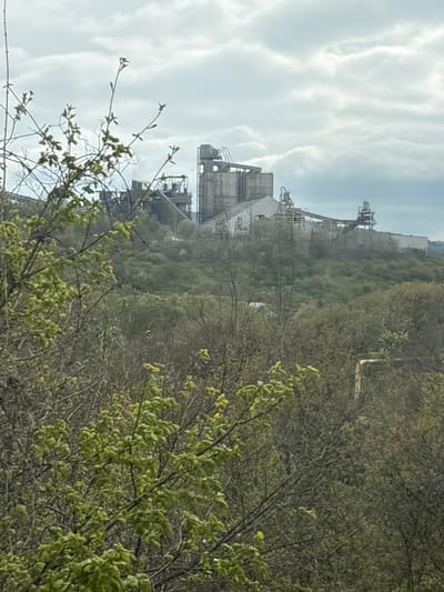 The image depicts an industrial facility partially obscured by trees in Verkhnebakanskiy, Russia. The sky is overcast. The facility appears to be a cement plant or similar heavy industry structure, with towers, conveyors, and silos visible. Vegetation in the foreground shows new spring growth.