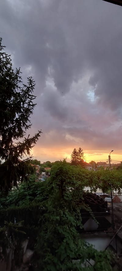 This is a vertical, wide-angle photograph taken in Yagodovo, Bulgaria, during a dramatic sunset. The sky is a canvas of contrasting colors, with heavy, dark clouds on the left transitioning to soft hues of orange, pink, and yellow towards the horizon on the right, indicating the sun is low in the sky. A small bird is visible in the upper left quadrant of the sky, silhouetted against the lighter clouds.
In the foreground and framing the scene on the right are dense, lush green trees and foliage, with the branches of a coniferous tree also visible on the left. Behind the foliage, a glimpse of a residential area can be seen, with rooftops of houses and buildings. A street lamp is also visible, suggesting the proximity of a street or road. The overall atmosphere evokes a sense of impending change, perhaps a storm passing, given the dark clouds contrasting with the warm sunset light. The scene feels somewhat rural or suburban. No people are visible in the frame, and there is no visible text.