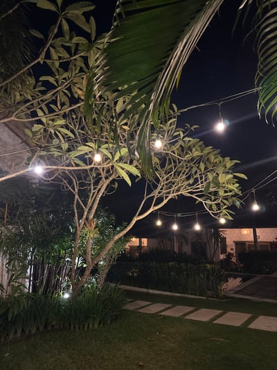 Captured at night in Ungasan, Indonesia, the image features a lush garden illuminated by a string of spherical lights suspended among trees. A palm tree dominates the left foreground, its fronds partially obscuring the view. In the background, a two-story building is visible, its windows emitting a warm glow. A stone path borders a grassy area. The overall scene creates a tranquil, illuminated outdoor ambiance.