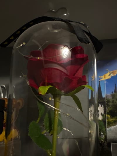 The image shows a red artificial rose under a glass dome, decorated with small fairy lights and a black ribbon with yellow hearts. The rose is placed on a green stem and has several leaves. In the background, there is a poster or image of a castle or old building with a yellow flag. To the left of the rose dome, there are some objects that appear to be part of a display, possibly including a small bear figurine. The lighting is dim, creating a dramatic effect. The scene appears to be an indoor setting, likely a home or a shop display. The city of Cheshnegirovo, Bulgaria, is not depicted in this image; therefore, no information can be provided about the location in Cheshnegirovo, Bulgaria.