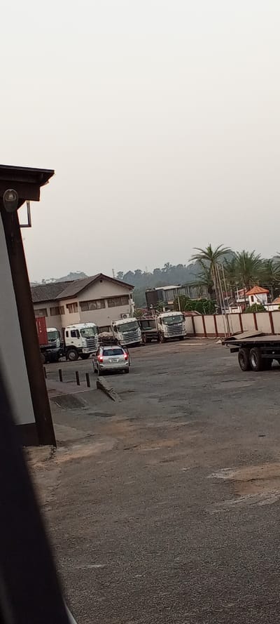 A lot with various trucks, a single silver sedan, and a flatbed trailer are present. A two-story building with a gable roof sits in the background, adjacent to a row of palm trees and a white-walled structure. The area appears to be a storage or parking lot. The lighting suggests it may be either early morning or late evening.