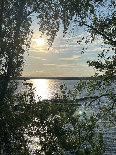 The image depicts a serene natural scene, likely a waterfront location, framed by the lush foliage of trees. The sun is setting or rising, casting a warm, golden glow across the sky and reflecting brilliantly on the water's surface. The sky is a mix of pale blue and soft clouds, with the sun appearing as a bright, diffused orb. The water is calm, with gentle ripples catching the sunlight, creating a shimmering effect. Silhouetted branches and leaves of trees occupy the foreground and edges of the frame, adding depth and a sense of being immersed in nature. In the distance, a landmass or shoreline can be discerned, with a subtle horizontal line separating the sky and water. The overall atmosphere is peaceful and tranquil, evoking a sense of calm and natural beauty. The time of day is clearly either sunrise or sunset, indicated by the low angle of the sun and the warm, soft lighting. There are no people or discernible objects other than the natural elements of trees, water, and sky. The location cues suggest a natural setting by a body of water, possibly a lake or a wide river. No text is visible in the image.
