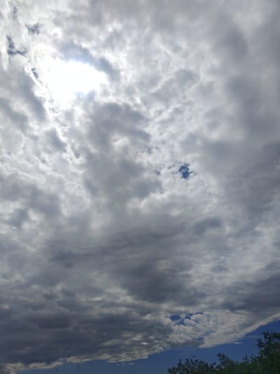 The image is a photograph of the sky, taken from ground level looking upwards. The sky is filled with a variety of clouds, ranging from bright white, sunlit clouds in the upper left quadrant to darker, more ominous gray clouds covering much of the frame. Patches of blue sky are visible through breaks in the clouds, particularly in the lower part of the image. The sun is partially obscured by clouds in the upper left, creating a bright, blown-out area. In the bottom right corner, the tops of dark green trees are visible, suggesting an outdoor environment. The overall impression is that of a dynamic sky, possibly before or after a storm. The image was taken in Colonița, Moldova.