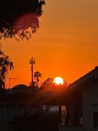 The image captures a sunset in Aprilia, Italy. The sun, a bright orb, is partially obscured by foliage, creating a silhouetted effect. A telecommunications tower is visible in the middle ground, standing against the orange sky. A building is visible to the right, its structure partially silhouetted. Trees and other vegetation are present in the foreground, their dark outlines contrasting with the bright sky. The overall scene is dominated by orange hues, indicative of a sunset.