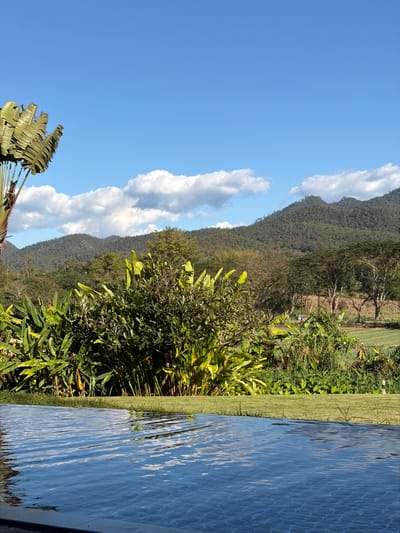 The scene, located in Pai, Thailand, displays a bright outdoor landscape. In the lower foreground, a dark-tiled infinity pool with a rippled water surface is visible. Immediately beyond the pool is a narrow strip of manicured green grass, which transitions into dense tropical vegetation. A large Traveler's Palm is partially visible on the far left. The midground features various broad-leafed tropical plants and trees, including some with sparse foliage, and an agricultural field with distinct rows of green crops on the right. In the background, rolling, densely forested mountains stretch across the horizon. Above the mountains, the sky is clear blue with scattered white cumulus clouds. The entire scene is illuminated by natural sunlight, indicating a daytime setting. No individuals or specific actions are depicted.
