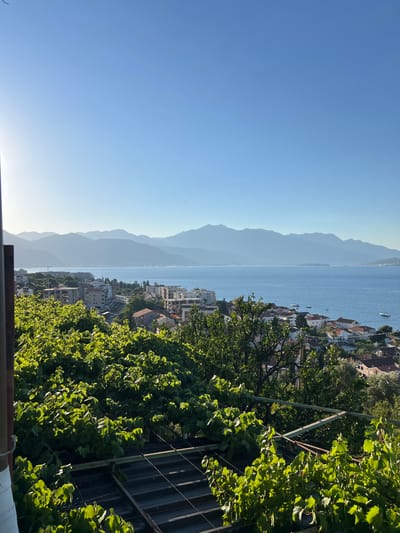A high-angle, wide shot captures a sunlit panorama of the Adriatic Sea and the coastal town of Đenovići, Montenegro. In the foreground, lush green grapevines, supported by a metal trellis, dominate the lower portion of the frame, their leaves illuminated by the bright sun. Beyond the vines, the town of Đenovići unfolds, characterized by a dense collection of buildings with red-tiled roofs and white facades. Further out, the expansive, calm, blue waters of the bay are dotted with several white sailboats and a single motorboat. The scene is framed by a series of hazy, layered mountain ranges that recede into the distance under a clear, light blue sky. The overall impression is one of a serene, sun-drenched Mediterranean landscape.