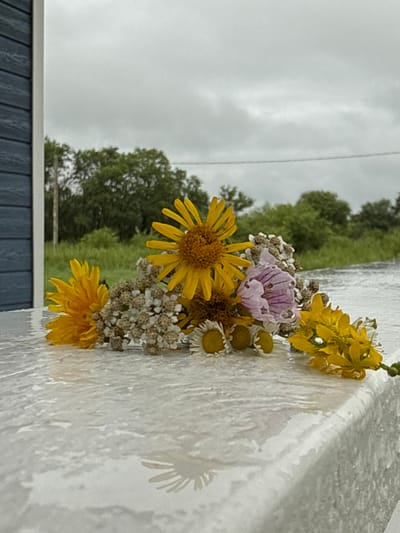 A still life arrangement of wildflowers, including yellow daisy-like flowers, small white flowers, and some delicate purple flowers, is placed on a white, textured surface. The surface appears to be a table covered in a white, textured cloth or plastic, with water droplets or a light sheen on its surface. The flowers are clustered together, creating a natural, rustic bouquet. In the background, a muted, overcast sky looms above a line of green trees and vegetation, suggesting an outdoor setting in a rural or semi-rural environment. To the left, a portion of a building with dark blue horizontal siding is visible, providing a hint of a man-made structure within the natural landscape. The overall scene is tranquil and evocative of nature's simple beauty. The location is Vozdvijenka, Russia.