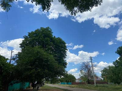 This media file depicts a daytime scene in Yegorlykskaya, Russia, under a bright blue sky dotted with fluffy white clouds. The perspective is from a low angle, looking up through the leaves of a large, dense green tree in the foreground. A dirt road, or unpaved path, leads into the distance, flanked by grass and some vegetation.

On the left side of the road, a tall, weathered green fence runs along the property line, with the base of another tree visible near its end, its trunk painted white. Further down the road, to the right, a power pole with overhead wires is prominent. Beyond the pole, a few houses are visible with rooftops and some visible architectural details. One house appears to be painted a light green with white trim, while another has a brown roof and walls. Yellow poles and wires are also present in the background.

The overall atmosphere is tranquil and suggests a rural or semi-rural setting. The sunlight and cloud formations indicate it is likely daytime, possibly late morning or early afternoon, with fair weather. There are no people or specific activities clearly depicted. The focus is on the natural elements of the sky and trees, juxtaposed with the man-made elements of the road, fence, and utility infrastructure. The presence of the power lines suggests that this is a residential area or a road leading into one. No discernible text is visible in the image.
