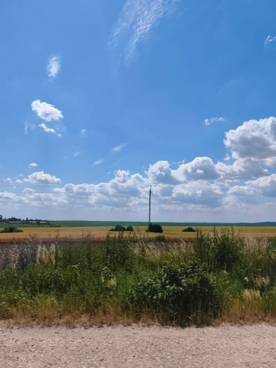 A wide-angle, eye-level, landscape photograph shows a sunlit rural scene in Novi Strilyshcha, Ukraine. The image is dominated by a bright blue sky with scattered white cumulus clouds and wispy cirrus clouds. A single, dark utility pole with overhead wires stands in the mid-ground, bisecting a field of golden-brown crops. This field extends to the horizon, where it meets a strip of green farmland. In the foreground, a gravelly dirt road is visible, bordered by lush green and dry brown vegetation. The overall impression is one of a peaceful, agricultural landscape under a clear summer sky.