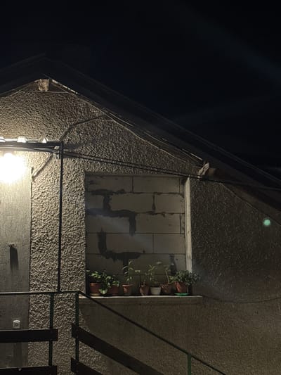 An exterior nighttime shot, taken from a low angle, focuses on a textured stucco wall of a building. A bright light fixture illuminates the left side of the frame, casting strong shadows. To the right, a recessed area, possibly a former window, is filled with cinder blocks arranged in a pattern. A shelf beneath this opening holds several potted plants, including greenery with broad leaves and smaller plants with delicate stems. A dark railing runs diagonally across the lower portion of the image, suggesting stairs or a walkway. The background consists of a dark, indistinct sky. The scene is devoid of any people or animals. The presence of a light fixture, plants, and building structure suggests a residential or commercial exterior setting. There is no specific indicator of the city of Smolyan, Bulgaria.