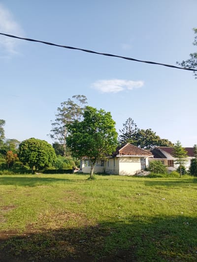 The image depicts a residential area in a rural setting. A one-story house with a terracotta tiled roof is the focal point, surrounded by a large green lawn. A variety of trees, including a prominent green tree in the foreground, partially obscure the house. Overhead power lines are visible against a light blue sky with some clouds. The ground is uneven and shows signs of moisture. There are no people visible. The location in Thalang, Laos is not verifiable from this image alone.