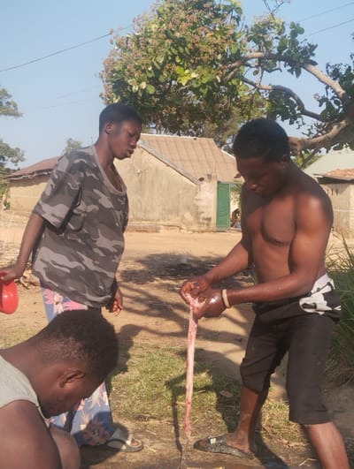 Three men are outside near some houses. One man, shirtless, is holding a long, fleshy object. The second man, wearing a camouflage shirt and floral pants, looks on. The third man is cropped, but appears to be crouching. A red bowl sits near the man in the camouflage shirt. There are trees and sunlight present.