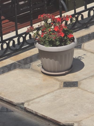 In the city of Karakol, Kyrgyzstan, a potted plant with red flowers sits on a tiled patio. The plant is in a light-colored plastic pot with a matching saucer. The patio tiles are a light beige with darker rectangular accents. Behind the plant, a black metal railing is visible, and beyond that, a wooden bench is partially obscured by shadows. The image appears to be taken from an elevated perspective, looking down at the scene.
