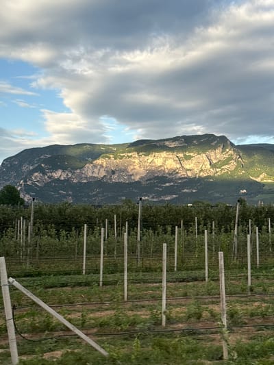 The image shows a rural landscape with a mountain range in the background and an orchard in the foreground. The mountain range is rugged and appears to be made of rock, with trees covering its lower slopes. The orchard consists of rows of young trees, supported by posts and wires. The sky is partly cloudy, with some sunlight breaking through. The scene appears to be set in the city of Mezzolombardo, Italy, known for its vineyards and orchards. The image is a static, medium-shot, capturing a scenic view of the Italian countryside.