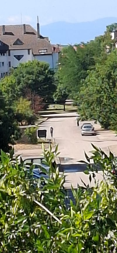 The image depicts a street scene in Vidin, Bulgaria. In the foreground, lush green foliage partially obscures the view. Beyond the foliage, a paved street runs towards the background, flanked by trees and buildings. A silver sedan is parked on the right side of the street. Further down the street, a white camper van is parked on the left. Two figures are visible on the street, one standing near the camper van and another walking further down the road. In the background, buildings with tiled roofs are visible, and beyond them, distant mountains are silhouetted against a bright sky. The overall impression is a quiet residential street on a sunny day.