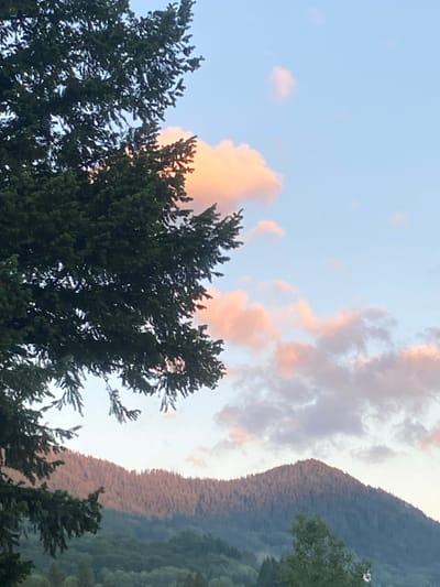 This is a vertical, eye-level, medium shot captured in the city of Smolyan, Bulgaria. The image depicts a landscape scene during what appears to be sunset or sunrise, given the warm hues in the sky and on the mountains. In the foreground, a large, dark green evergreen tree dominates the left side of the frame, with its branches extending across the upper left quadrant. The tree is partially silhouetted against the sky.

The sky is a pale blue, with scattered clouds tinged with soft pink and orange. These colors suggest the influence of the setting or rising sun.

In the middle ground, a range of mountains stretches horizontally across the image. The slopes are covered with dense evergreen forest, and the light of the sun is catching the upper parts of the mountains, giving them a reddish-pink glow.

In the lower portion of the image, closer to the viewer than the mountains, are more trees, appearing darker and more in shadow than those on the mountainside. The overall impression is one of a serene natural landscape, likely a mountainous region within or near Smolyan. There are no people, animals, or man-made structures clearly visible in the frame.