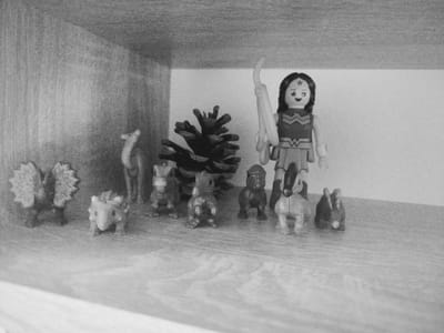 The image depicts a shelf with several small figurines. On the left side, there are two dinosaur-like figurines, one appearing to have a frill. Next to them, a beige, quadrupedal animal figurine stands. In the center, a dark, spiky object, possibly a pine cone, is visible. To the right of the pine cone, a toy figurine resembling Wonder Woman stands, holding a bow. Further to the right, there are several small animal figurines, including what appears to be a horse or unicorn, and a rabbit. The background consists of a wooden shelf and a plain wall. The scene is a still life arrangement of toys, not indicative of any specific location in Kremenchuk, Ukraine.