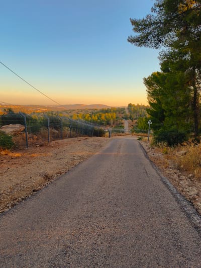 The image depicts a paved road leading uphill through a landscape characterized by dry vegetation and sparse trees. A barbed wire fence runs along the left side of the road, separating it from a rocky, uneven terrain. In the background, rolling hills are visible under a clear sky that transitions from a pale blue at the top to a warm yellow and orange hue near the horizon, suggesting either sunrise or sunset. The scene appears to be in an arid or semi-arid region. There are no people or animals visible in the image. The overall atmosphere is serene and somewhat desolate. The location is specified as being within the Lachish Regional Council, Israel, a region known for its varied terrain and historical significance.
