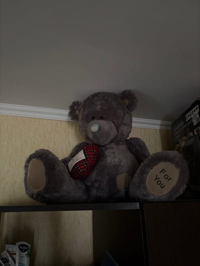 A plush grey teddy bear with a red and black plaid heart is sitting on a shelf. The bear has a light blue nose and a label attached to its heart. The text "For You" is visible on the bear's right foot. Behind the bear, a textured yellow wall is visible. To the right of the bear, a black box with white text is partially visible. The shelf is dark brown and is positioned above other shelves that contain various items, including a white tube labeled "AURA Fresh Aloe". The scene appears to be indoors, possibly in a residential setting in Tambov, Russia.
